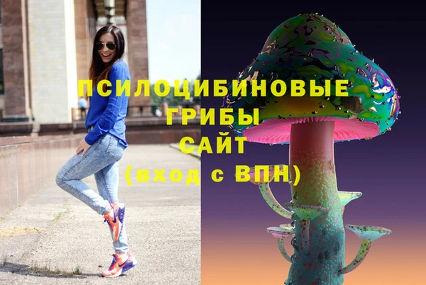 бошки Алзамай