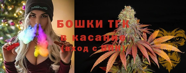 шишки Алексин