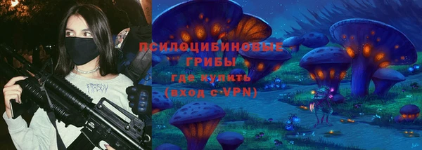 бошки Алзамай