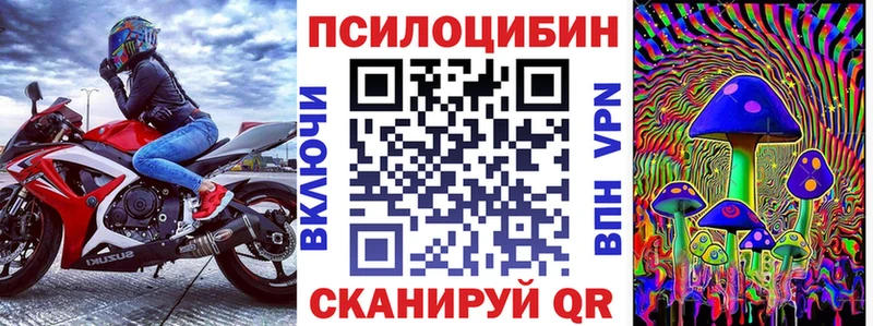 darknet какой сайт  Камешково  Галлюциногенные грибы Psilocybine cubensis 